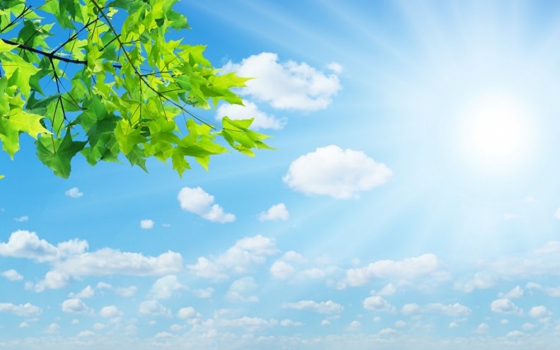 夏日炎炎，热情不减——库为科技始终在您身边